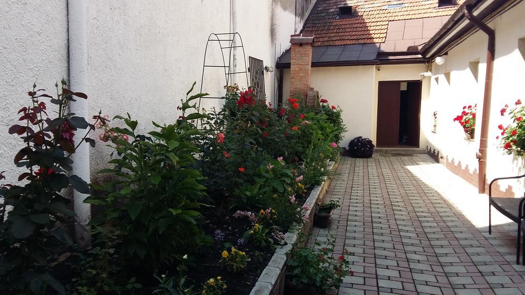 Casa Graef Apartment Brașov Exterior foto